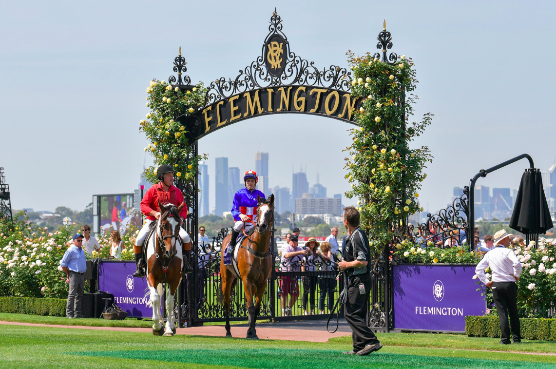 melbourne cup 2019 preview
