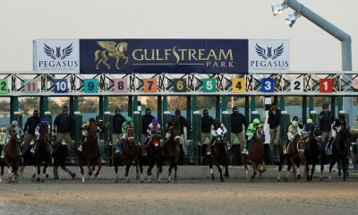 pegasus cup betting picks