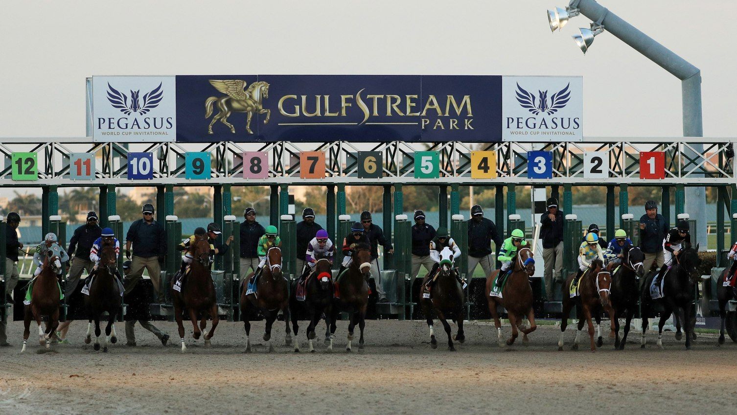 pegasus cup betting picks