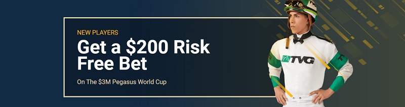tvg pegasus cup promotion