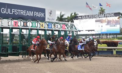 fountain of youth betting picks