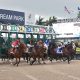 fountain of youth betting picks