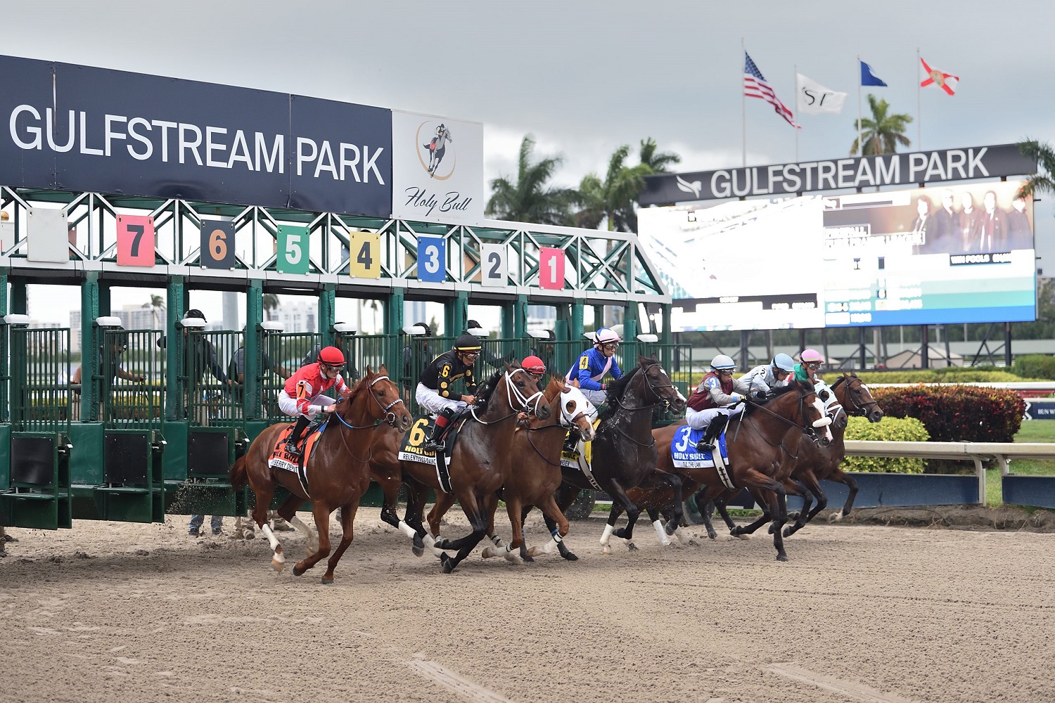 fountain of youth betting picks