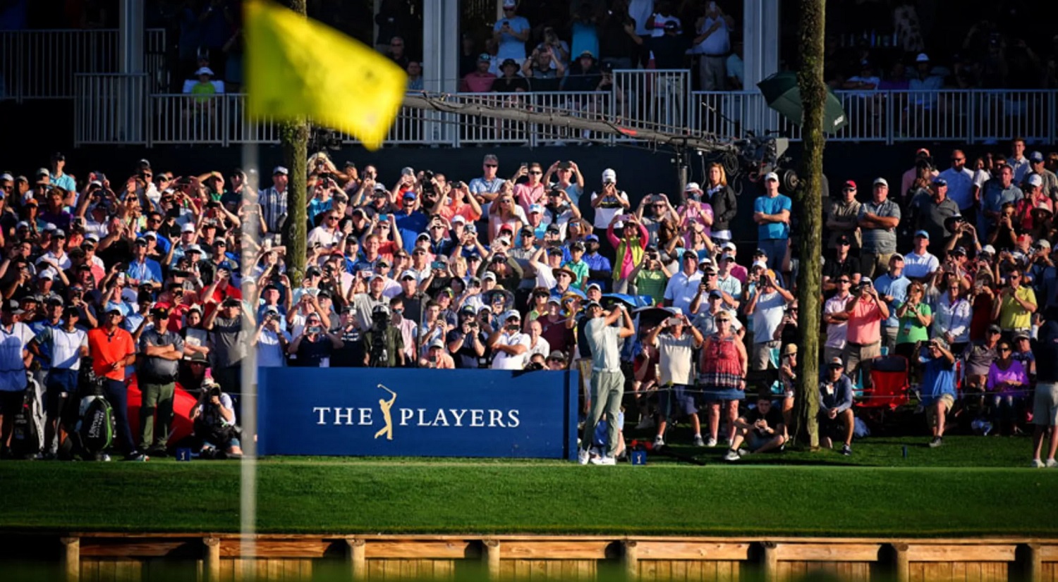 the players betting picks