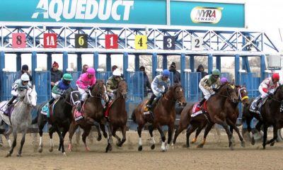 2020 Gotham Stakes