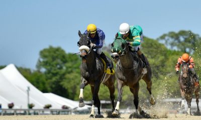 apple blossom handicap