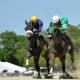 apple blossom handicap