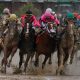 churchill downs betting picks