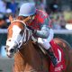 horse racing santa anita picks