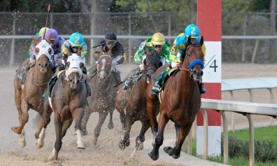 arkasnas derby