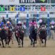 belmont stakes 2020