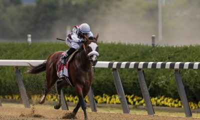 belmont park horse racing picks