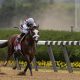 belmont park horse racing picks