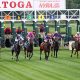 saratoga horse racing picks