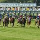 MONMOUTH PARK RACING PICKS