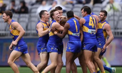 afl round 14 betting picks