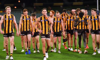 AFL Round 15 Betting Picks