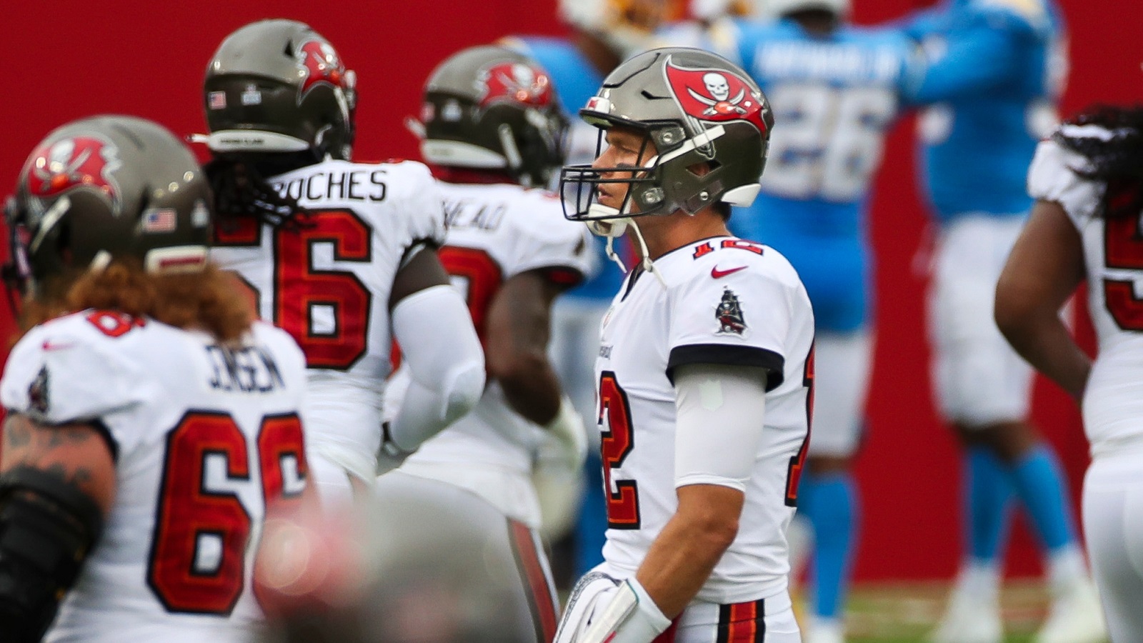 buccaneers bear