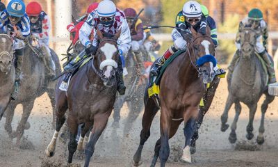 tiz the law preakness stakes