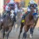 tiz the law preakness stakes