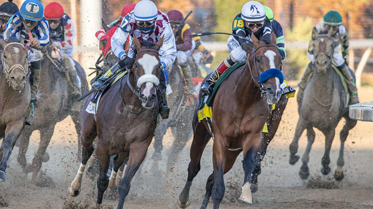 tiz the law preakness stakes