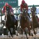Fair Grounds